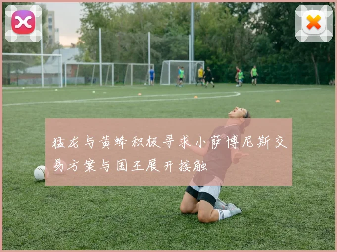 猛龙与黄蜂积极寻求小萨博尼斯交易方案与国王展开接触