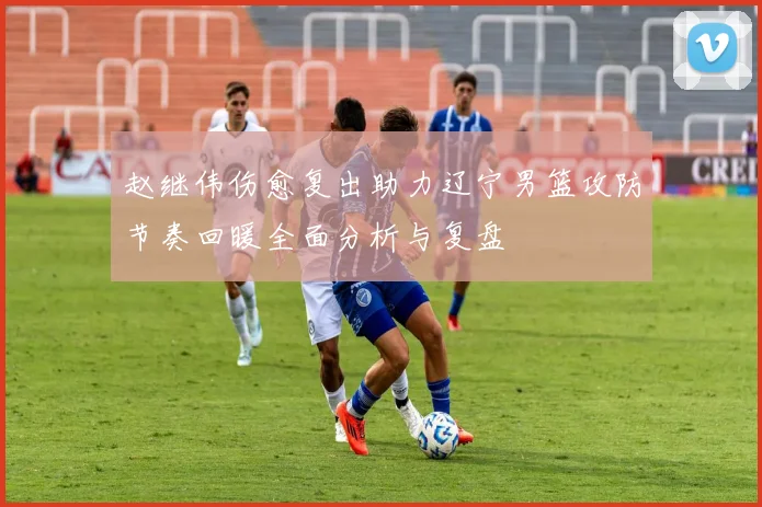 赵继伟伤愈复出助力辽宁男篮攻防节奏回暖全面分析与复盘